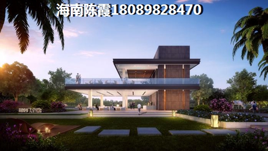 海南陵水醉适合养老的小镇